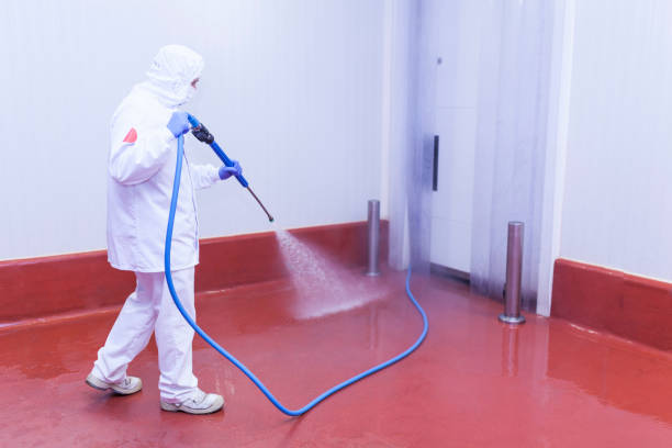Best Solar Panel Cleaning  in Wake Village, TX
